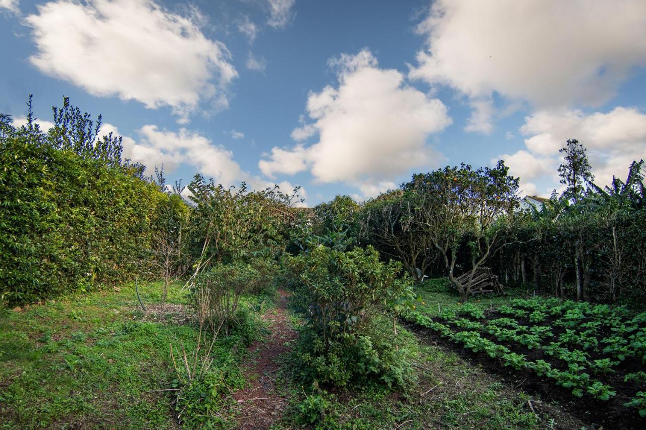 Pico da PedraCasa Com Quinta Tradicional别墅 外观 照片